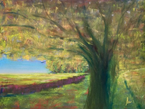 Pintura - Campo das árvores