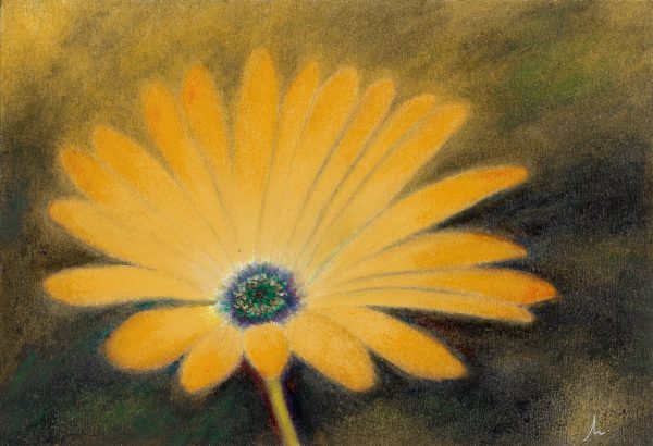 Pintura - Luz em flor